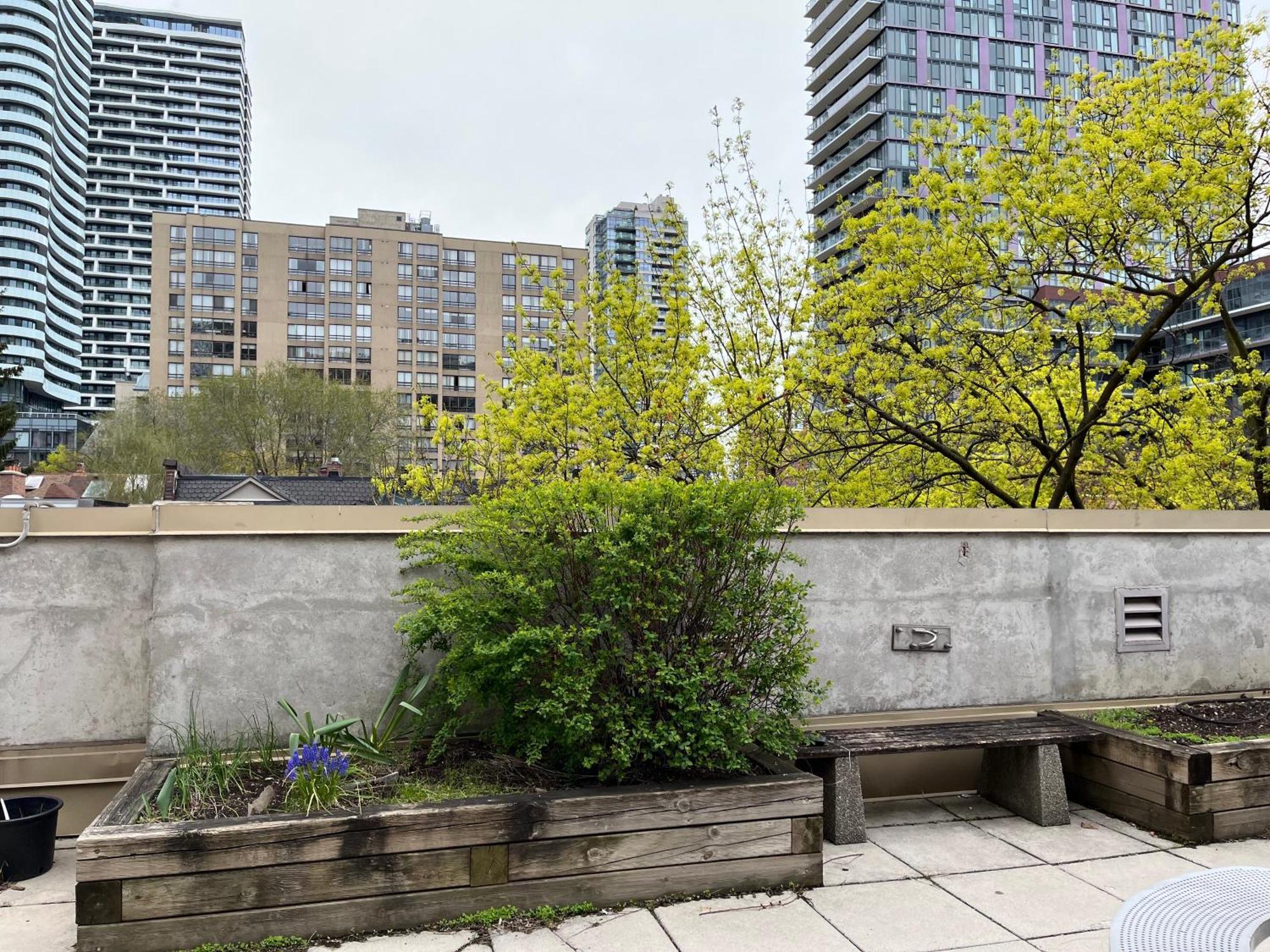 Neill Wycik Hotel Toronto Exterior photo